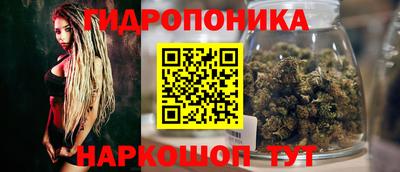 метадон Новоалтайск